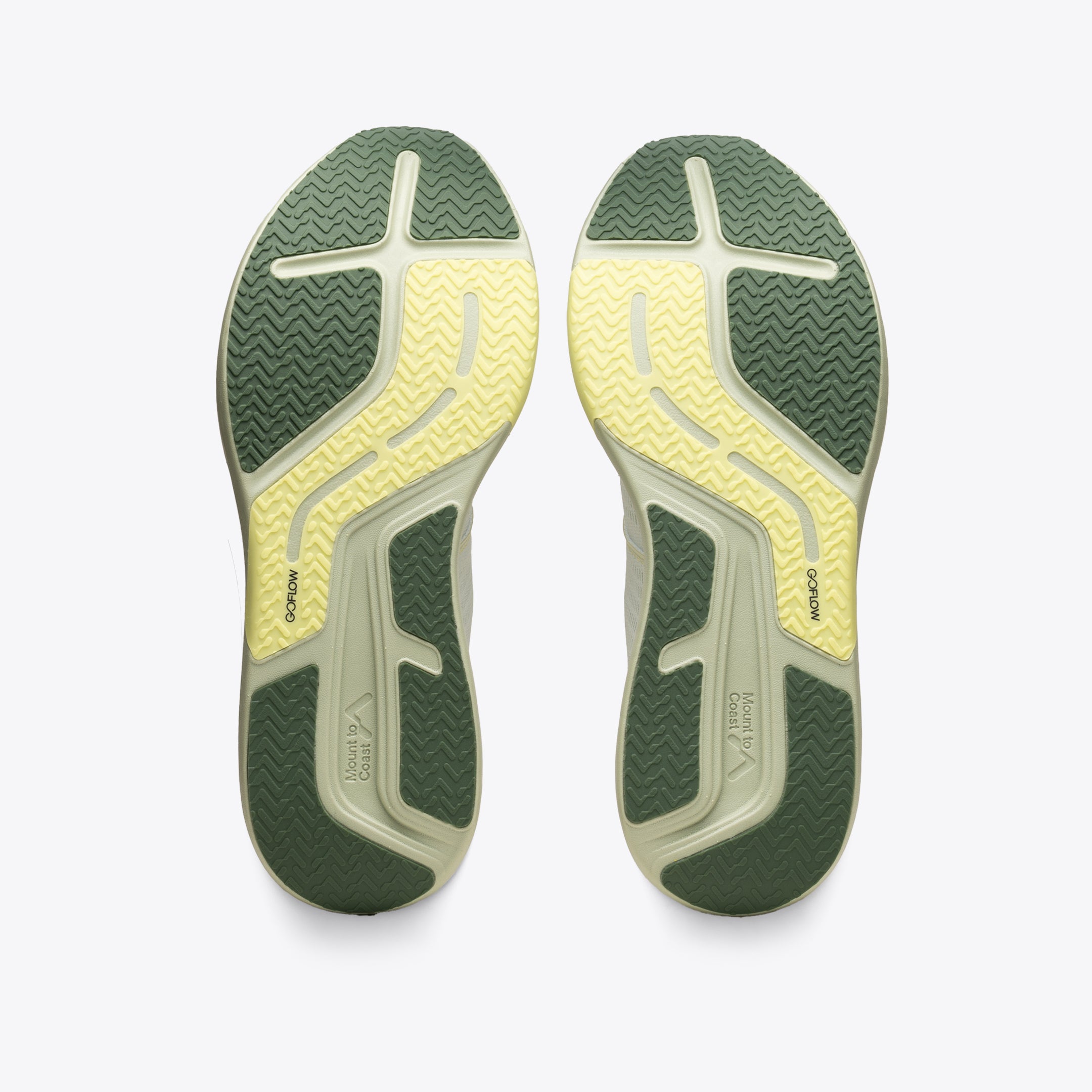 Mount to Coast R1 - Agave