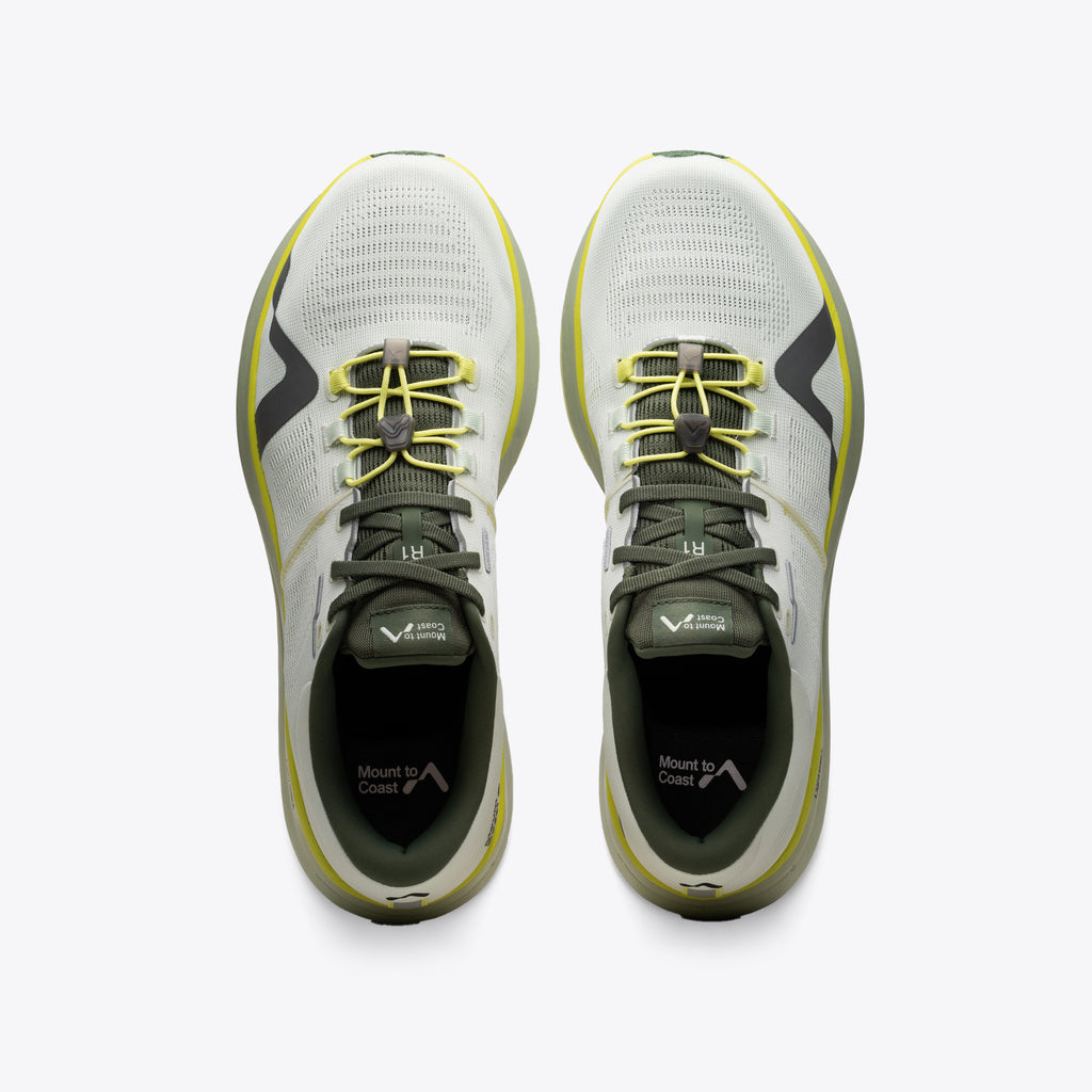 Mount to Coast R1 - Agave