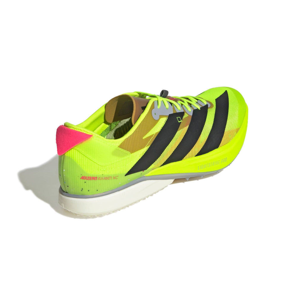 Adidas Adizero Avanti XC Spikes Lemon - The Aid Station Running Supply